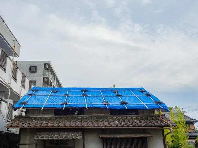 台風後に雨漏りを発見した際の応急処置と調査の流れ